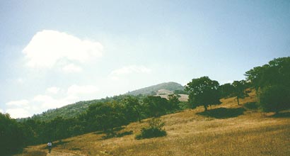 annadel.JPG (14648 bytes)